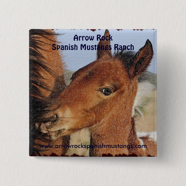 Spanischer Mustang Foal Button (Vorderseite)