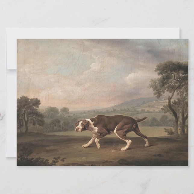 Spanischer Pointer Dog (von George Stubbs) Karte (Vorderseite)