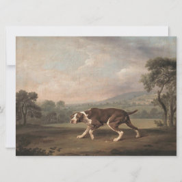 Spanischer Pointer Dog (von George Stubbs) Karte