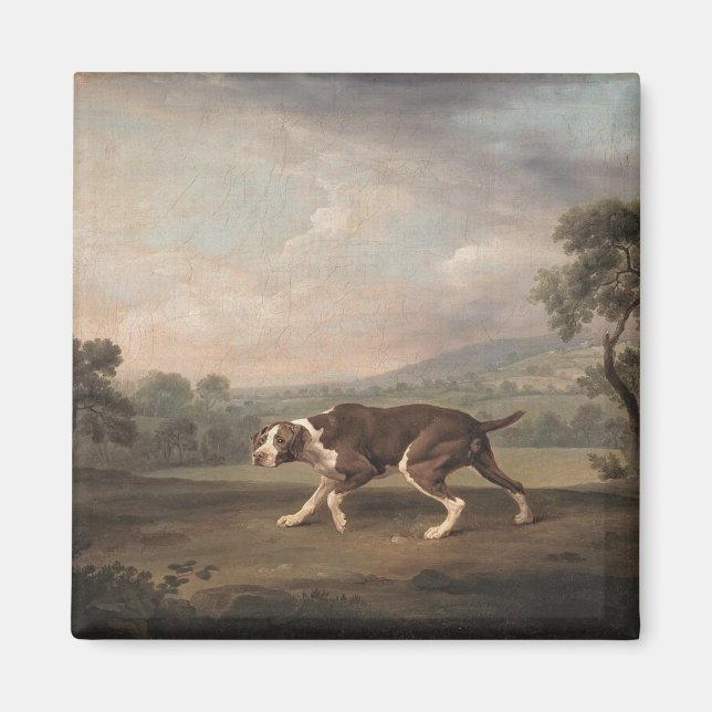 Spanischer Pointer Dog (von George Stubbs) Magnet (Vorne)