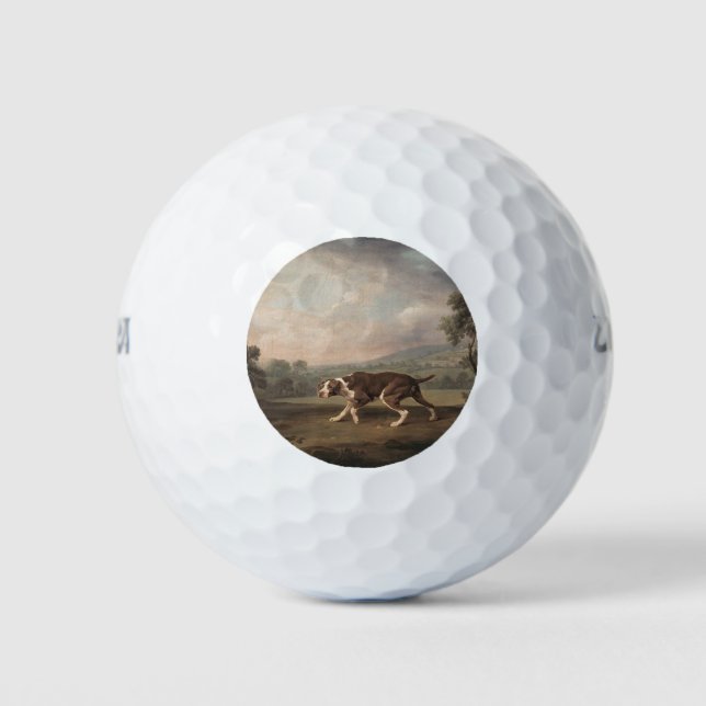Spanischer Pointerhund (von George Stubbs) Golfball (Vorderseite)