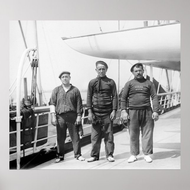 Spanischer Segler Poster (Vorne)