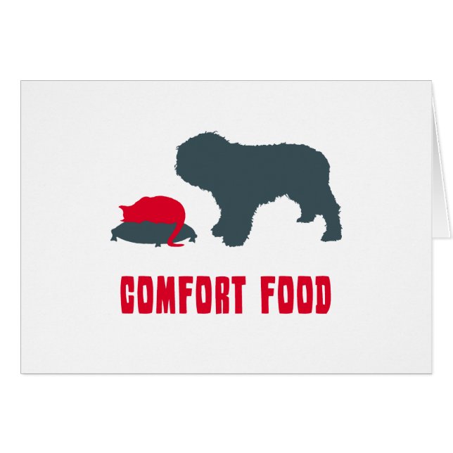 Spanischer Wasser-Hund (Vorderseite (Horizontal))