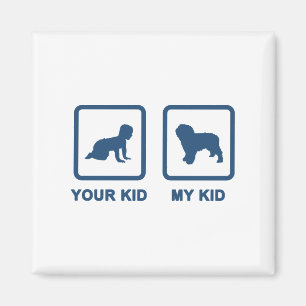 Spanischer Wasser-Hund Magnet