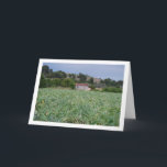 Spanisches Artichoke Field, Valencia, Spanien Karte<br><div class="desc">Spanish Artichoke Field,  Valencia,  Spanien Grußkarte. Sie können dieses Produkt ganz einfach kostenlos anpassen,  wenn Sie Text hinzufügen oder die Farbe des Hintergrunds ändern möchten.</div>