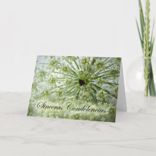 Spanisches Beileid, Königin Anne's Lace, Blume Karte