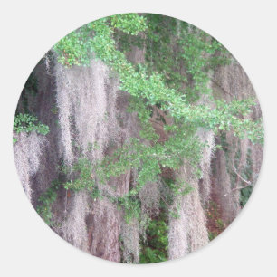 Spanisches Moos-Aufkleber Runder Aufkleber