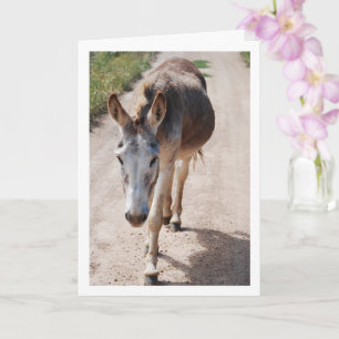 Spanisches Mule-Portrait Karte