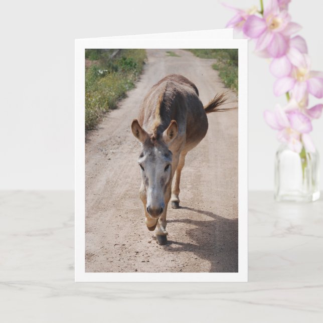 Spanisches Mule-Portrait Karte (Orchidee)