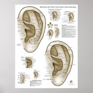Spanisches Ohr-Akupunktur-Diagramm Poster