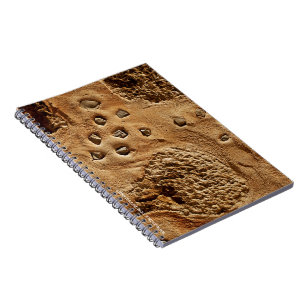 Spanisches Wandnotizbuch Notizblock