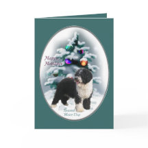 Spanish Water Dog Weihnachtsgeschenke