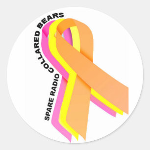 Spare Radio gefärbte Bären! Runder Aufkleber