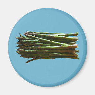 Spargel Magnet