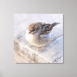 Spargel - Übergewicht Leinwanddruck