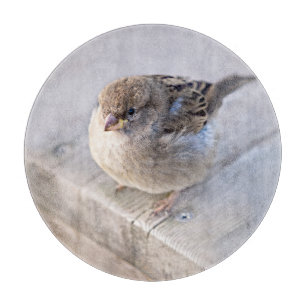 Spargel - Übergewicht Schneidebrett