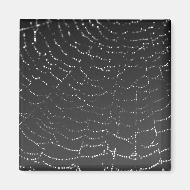 Sparkling Spiderweb Magnet (Vorne)