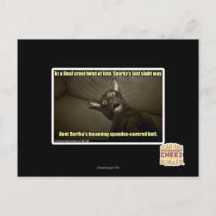 Sparkys letzter Anblick Postkarte