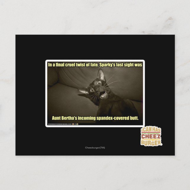 Sparkys letzter Blick Postkarte (Vorderseite)