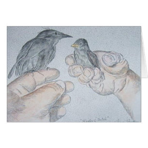 sparow und Starling