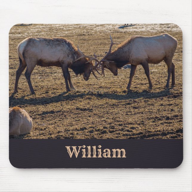 Sparring Bull Elk Individuelle Name Mousepad (Vorne)