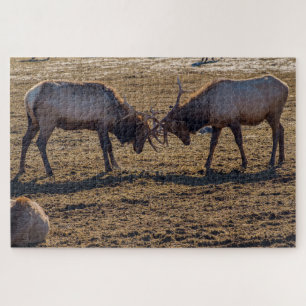 Sparring Bull Elk Puzzle