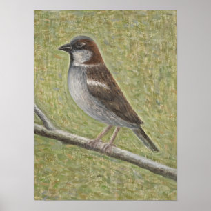 Sparrow 2008 poster
