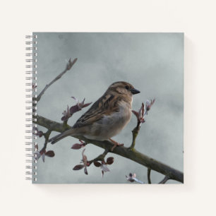 Sparrow auf Branch-Foto Notizbuch