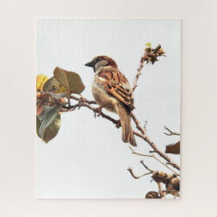 Sparrow auf Branch-Puzzle Puzzle