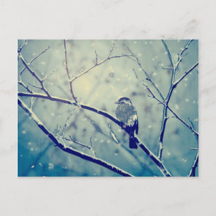 Sparrow auf dem verschneiten Zweig Feiertagspostkarte