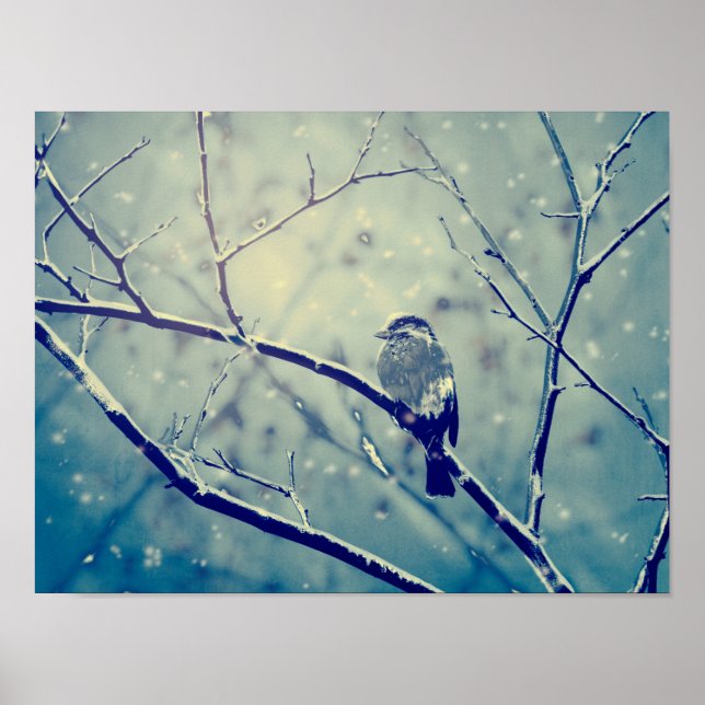 Sparrow auf dem verschneiten Zweig Poster (Vorne)
