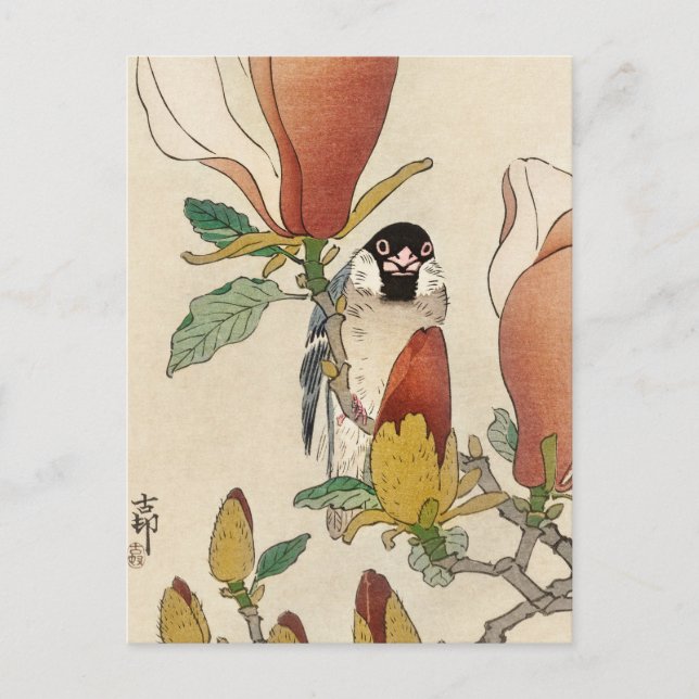 Sparrow auf der blühenden Magnolia-Zweigstelle von Postkarte (Vorderseite)