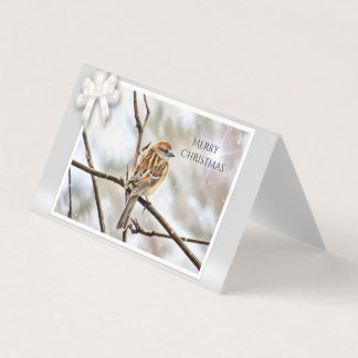 Sparrow auf einem Zweig - Frohe Weihnachten