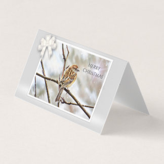 Sparrow auf einem Zweig - Frohe Weihnachten