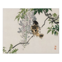 Sparrow auf einer Zweigniederlassung von Kōno Bair
