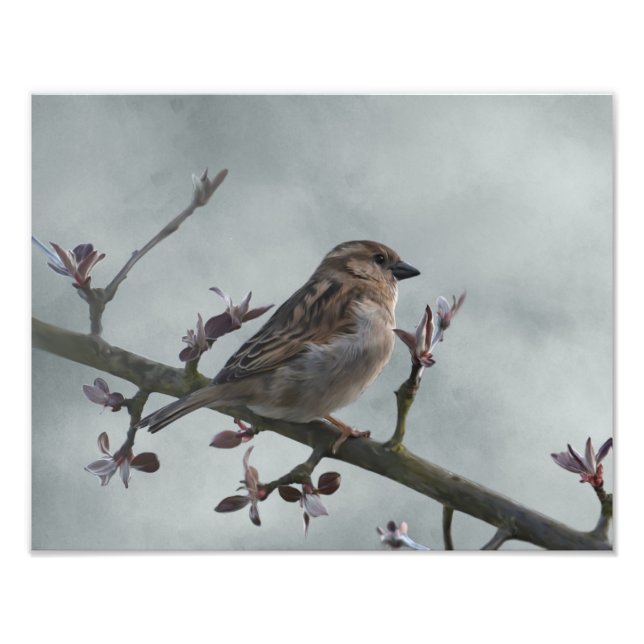 Sparrow auf Zweig Fotodruck (Vorne)