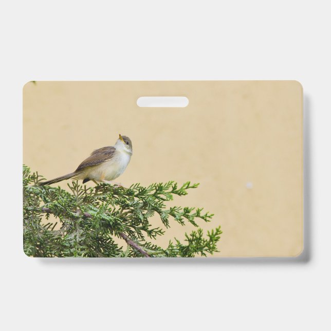 Sparrow Ausweis (Vorderseite)