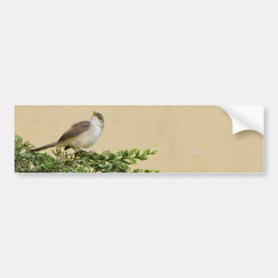 Sparrow Autoaufkleber