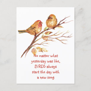 Sparrow Bird inspirierendes Zitat   Postkarte
