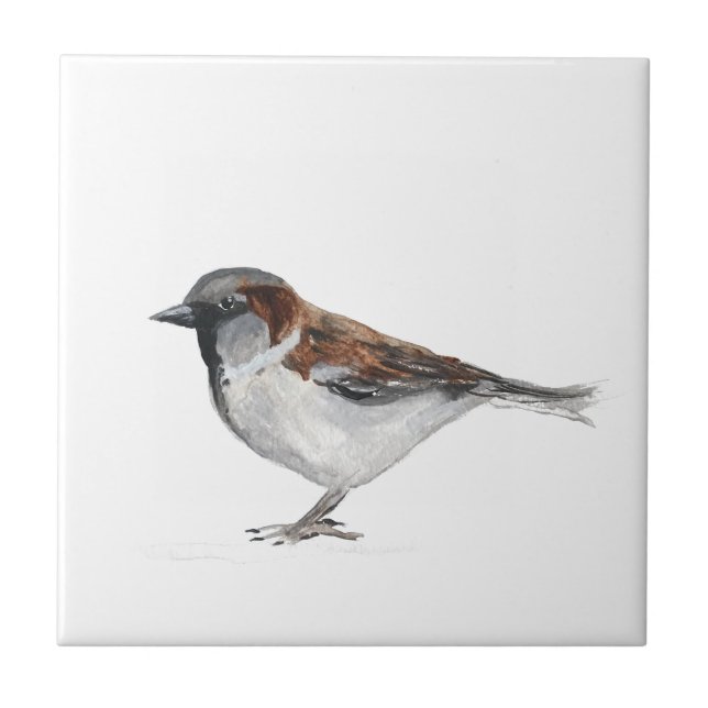 Sparrow Bird Wildlife Watercolor Natur Niedlich Fliese (Vorderseite)