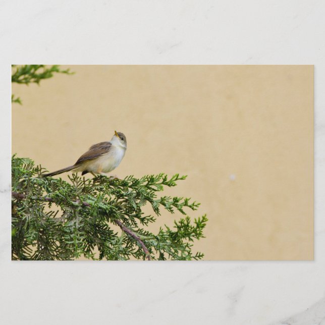 Sparrow Briefpapier (Vorderseite)
