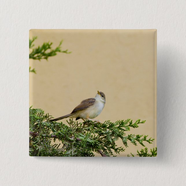Sparrow Button (Vorderseite)