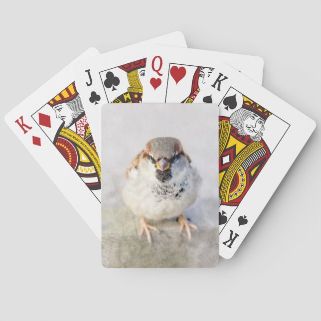 Sparrow - Der Krieger Spielkarten (Rückseite)