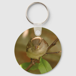 Sparrow-Foto Schlüsselanhänger