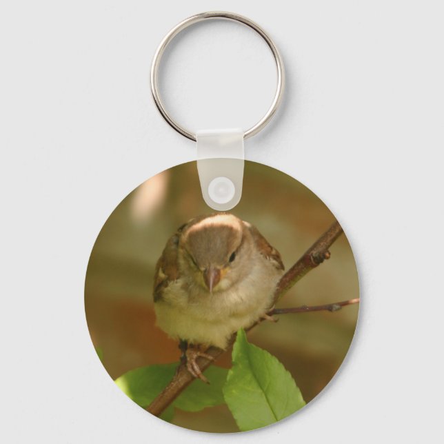 Sparrow-Foto Schlüsselanhänger (Vorderseite)