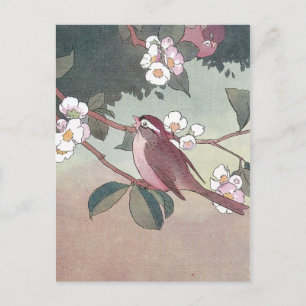 Sparrow im blühenden Apfelbaum Postkarte