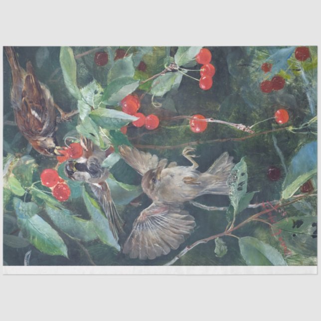 Sparrow in einem Kirschbaum, Bruno Liljefors Seidenpapier (Vorderseite)
