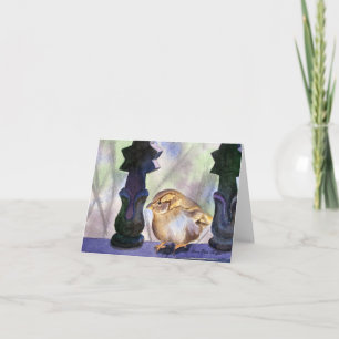 Sparrow in Gewartet Notenkarte Karte