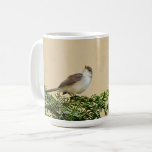 Sparrow Kaffeetasse