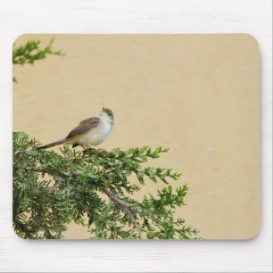 Sparrow Mousepad
